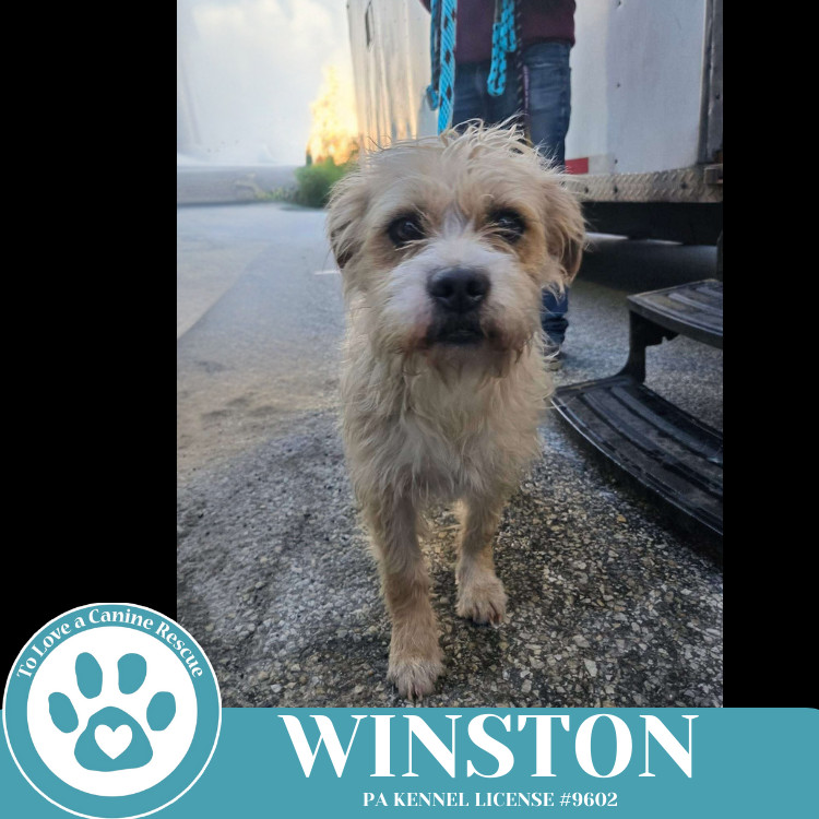 Winston 050325