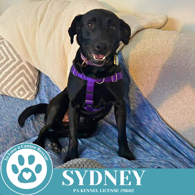 Sydney 050325