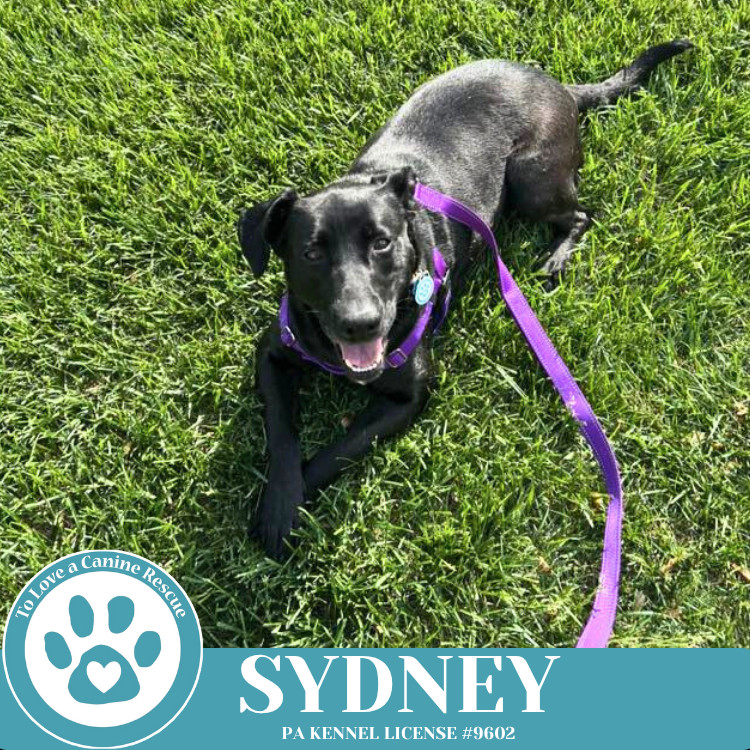 Sydney 050325