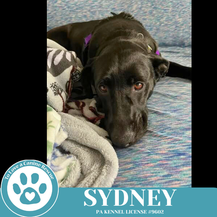 Sydney 050325