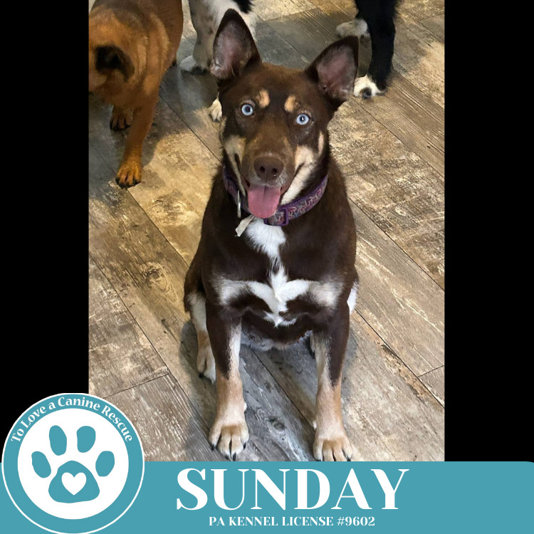 Sunday 050325