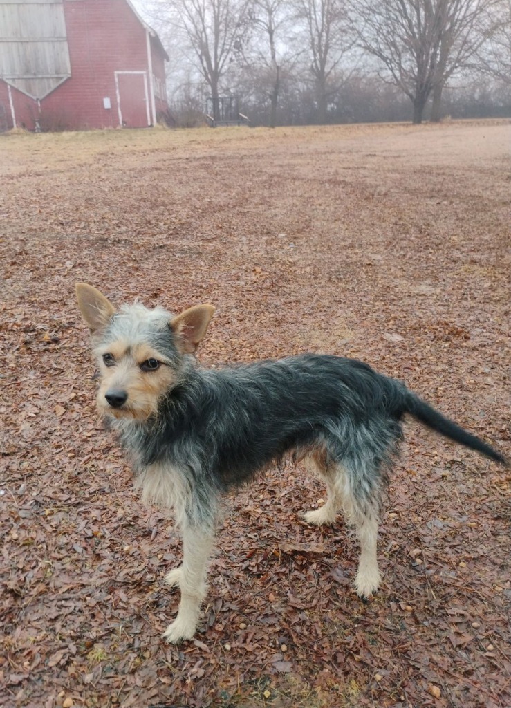 Max