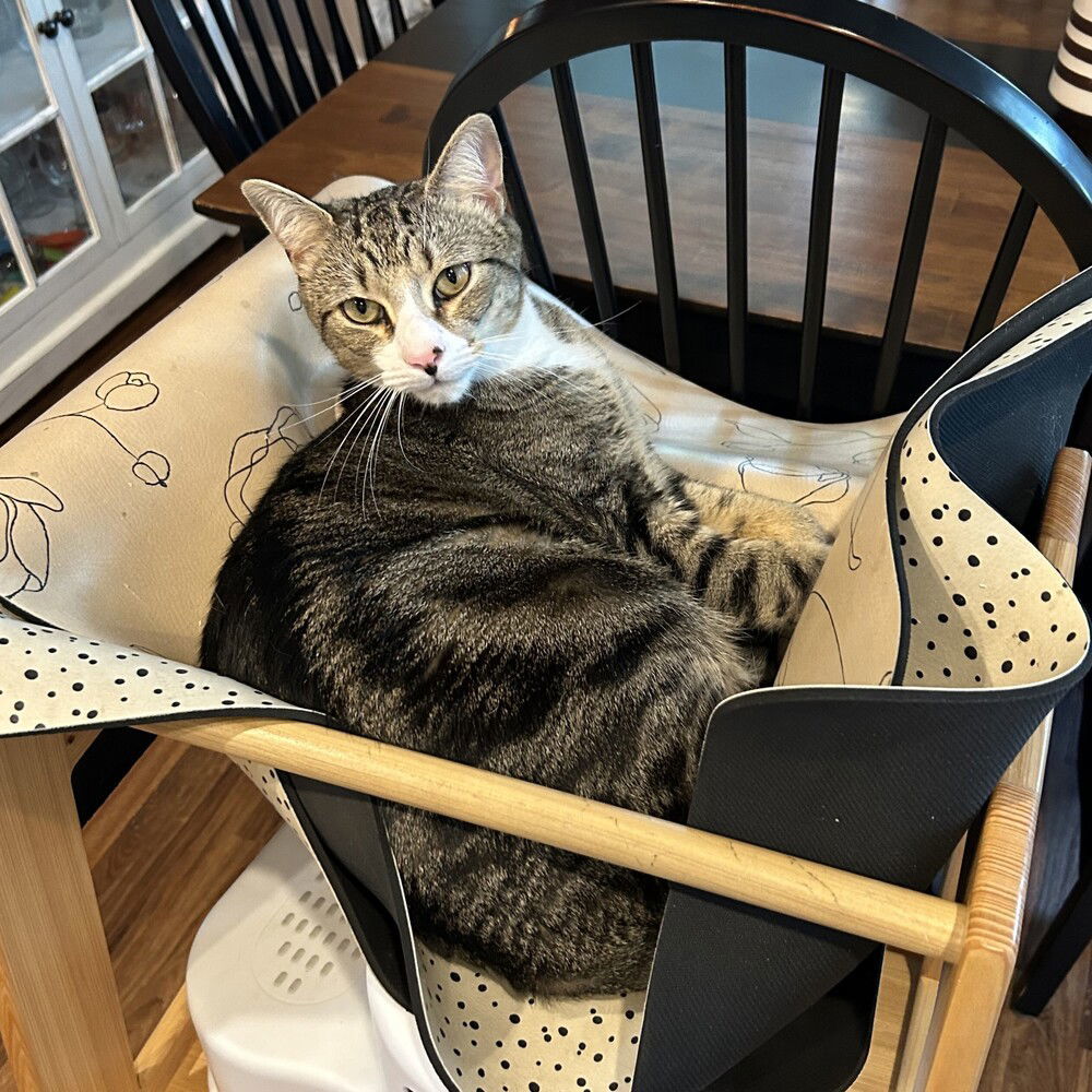 Cisco