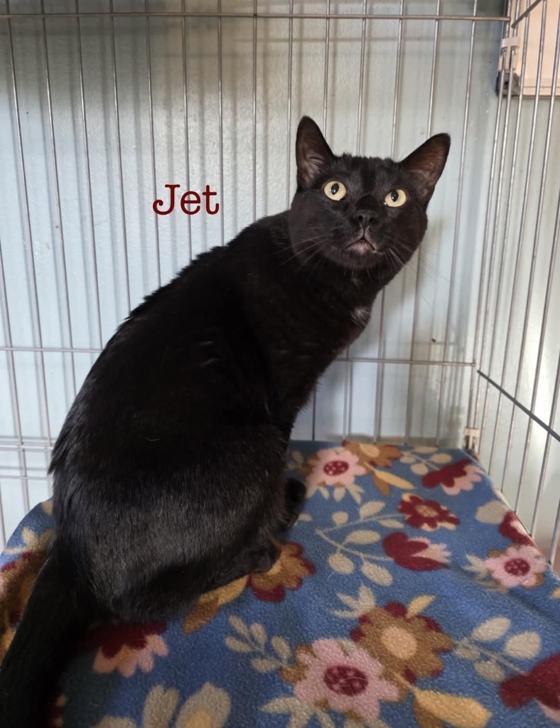 Jet