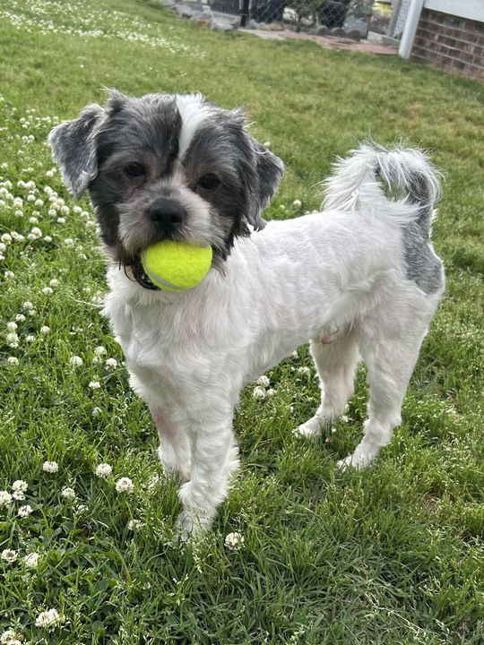 Witt Apr 25 - In Foster in Rocky Mount, NC