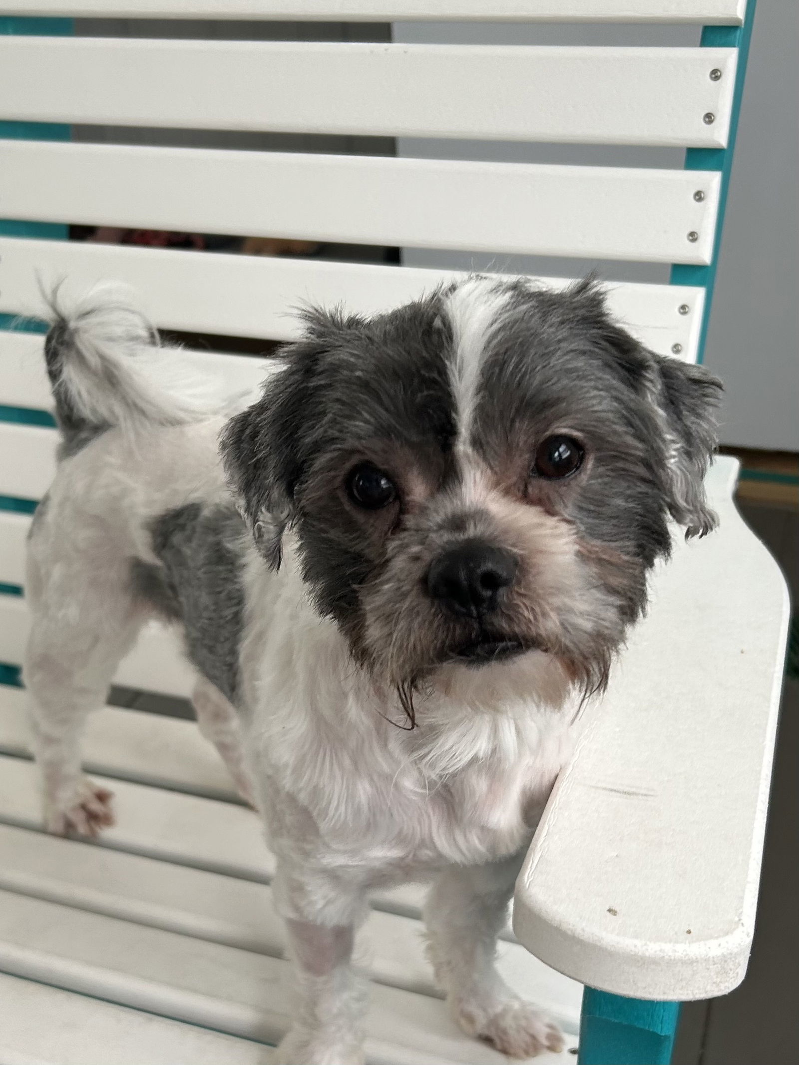 Witt Apr 25 - In Foster in Rocky Mount, NC