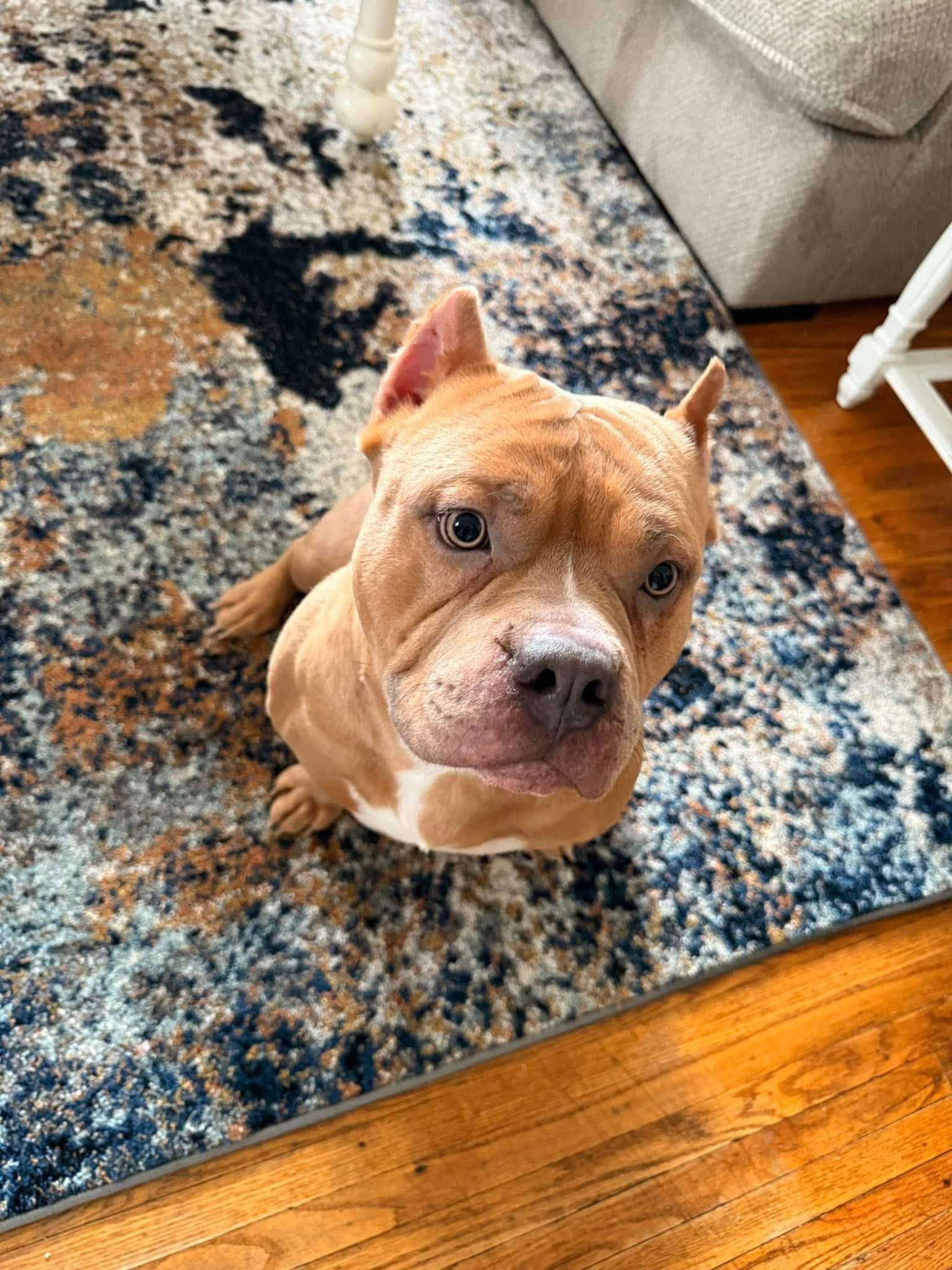 Ghost - Courtesy Post