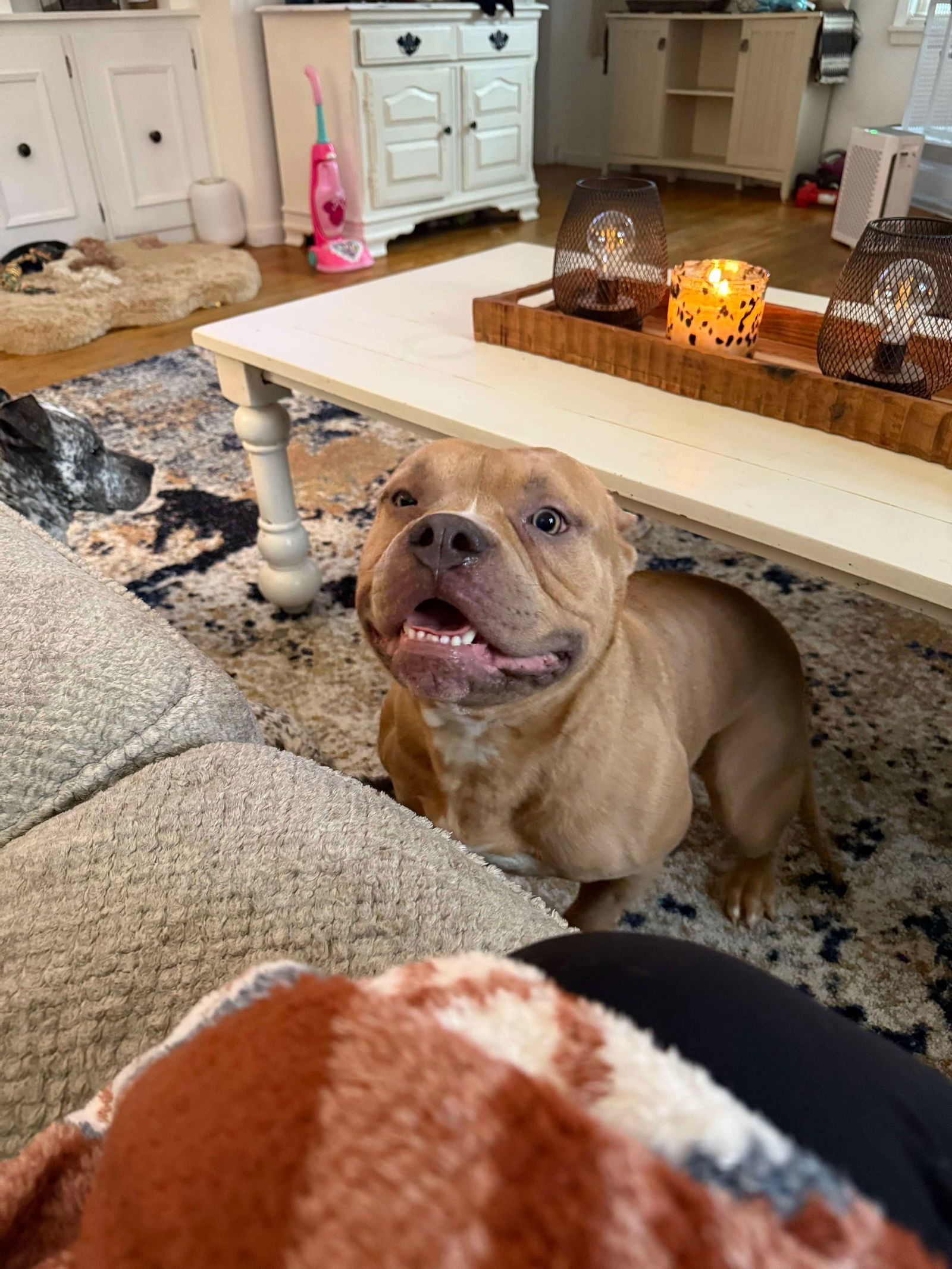 Ghost - Courtesy Post