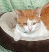 Beans photo 2