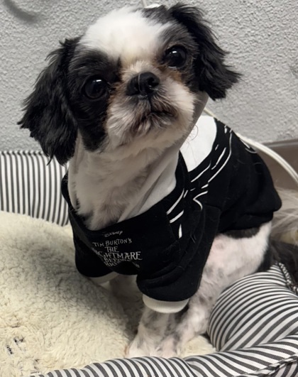 Milo