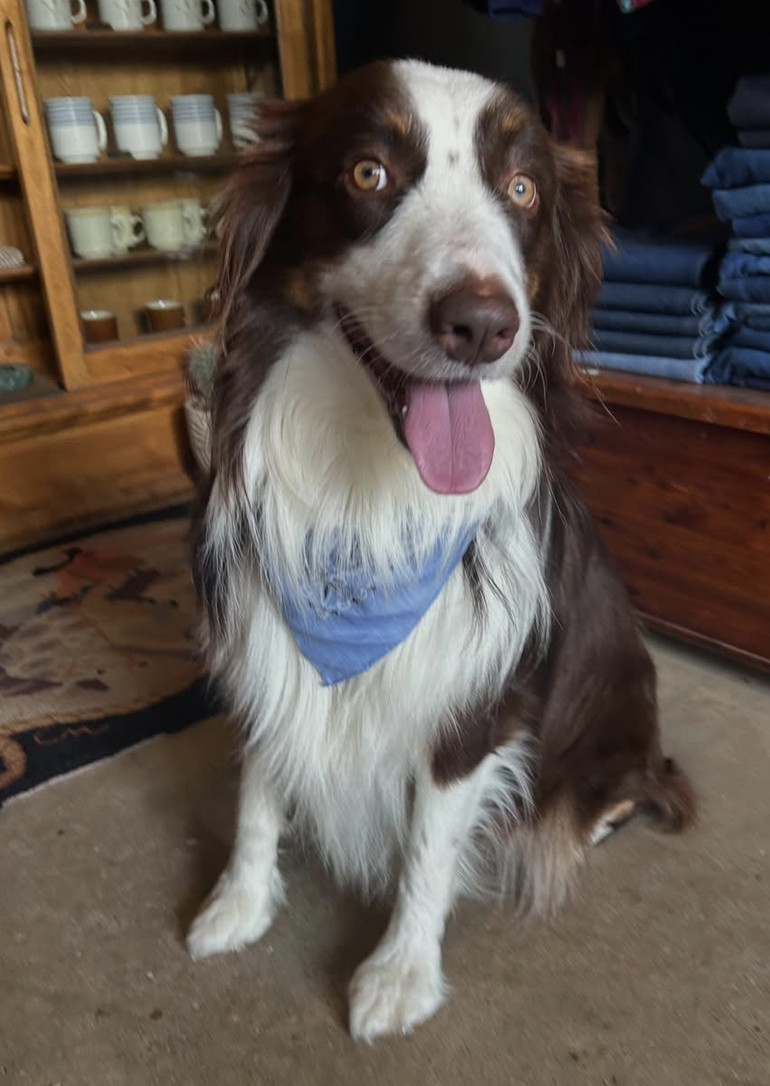 Rolo