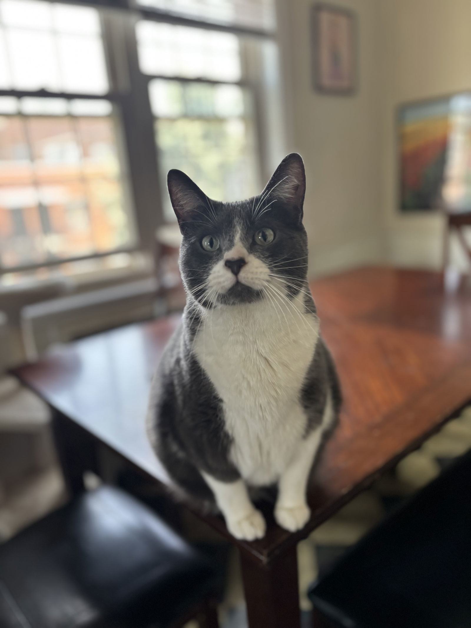 Susie