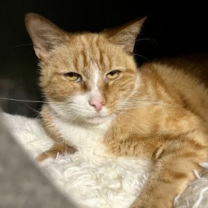 When we first met Bruce Libby he was in rough shape He came from a hoarding situation but had not