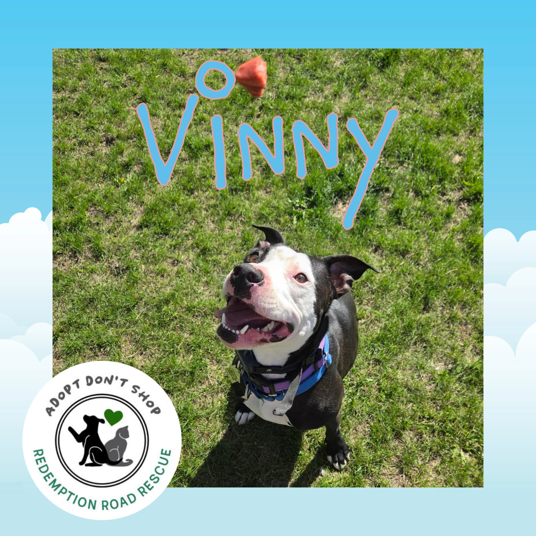 Vinny