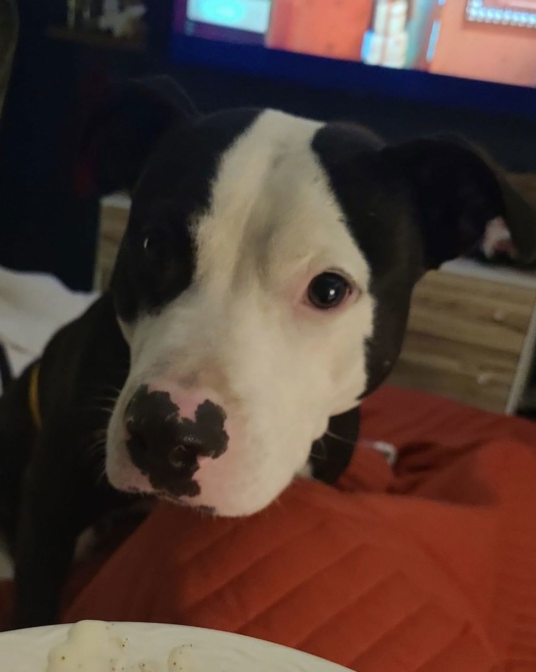 Vinny