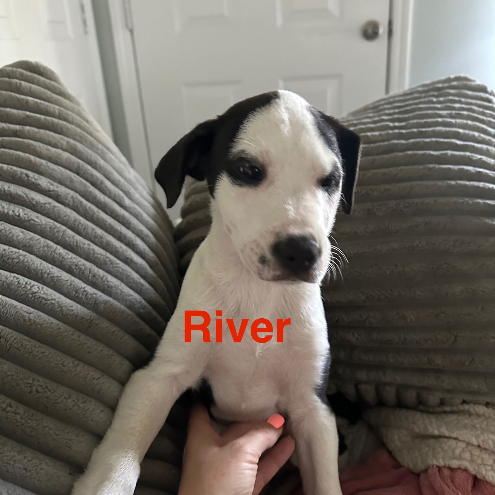 River