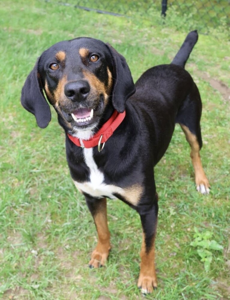 Woodrow