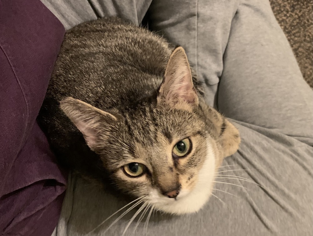 Rosie