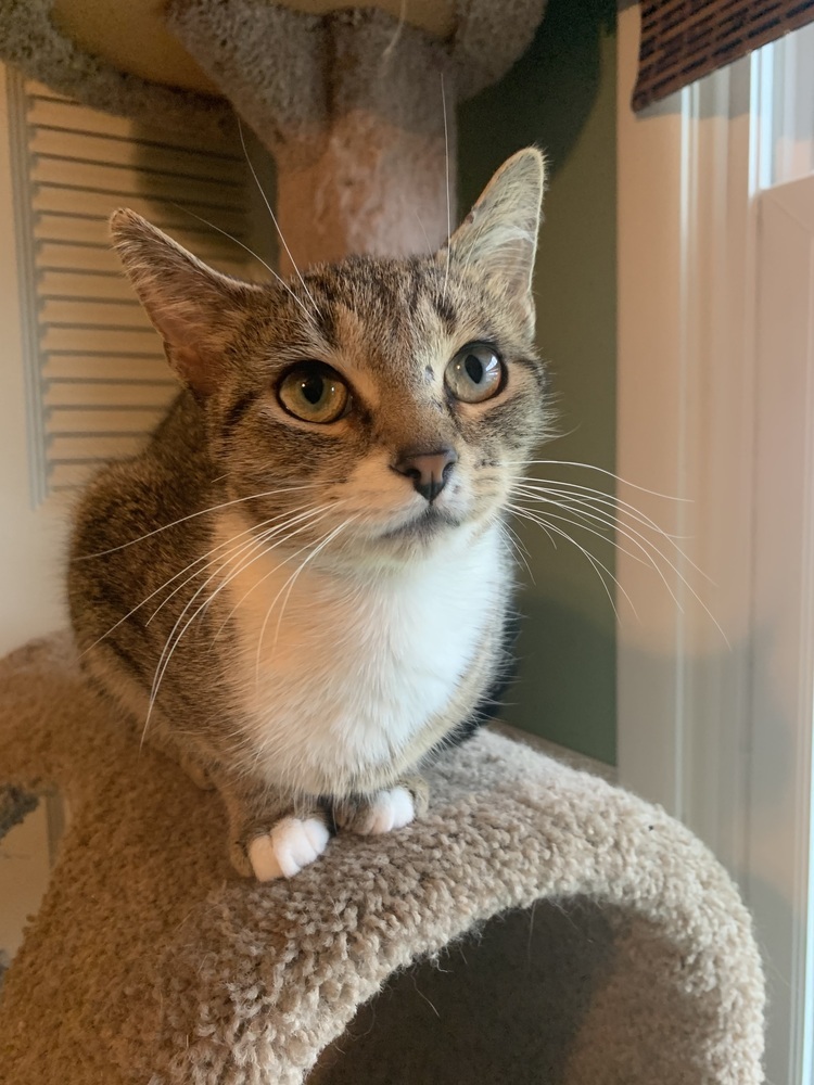 Rosie