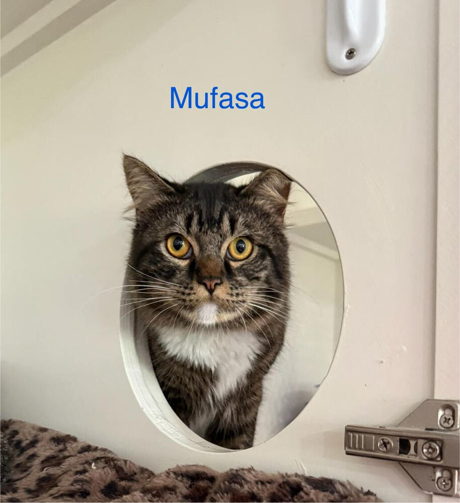 Mufasa