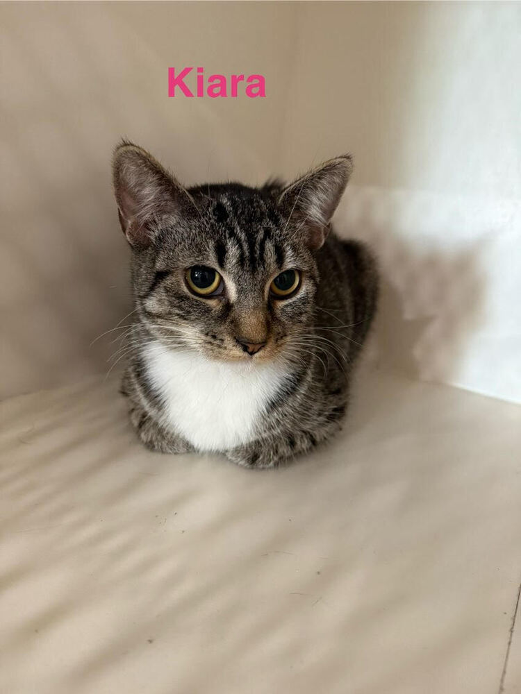 Kiara