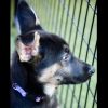 Bono photo 9