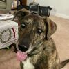 Sophie (Acacia) photo 5