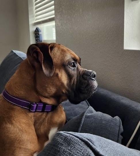 Milo
