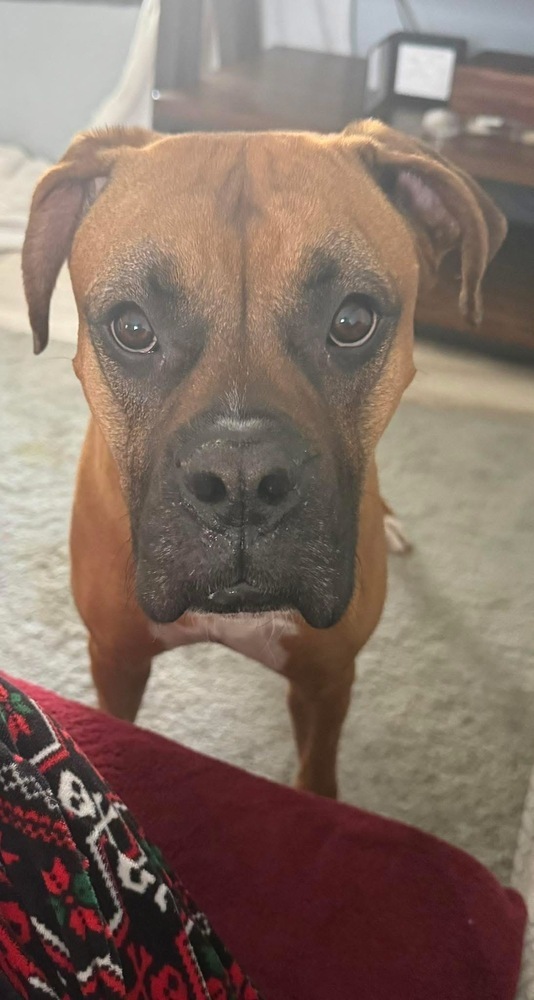 Milo