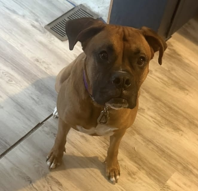 Milo