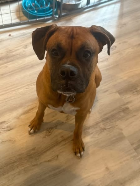 Milo
