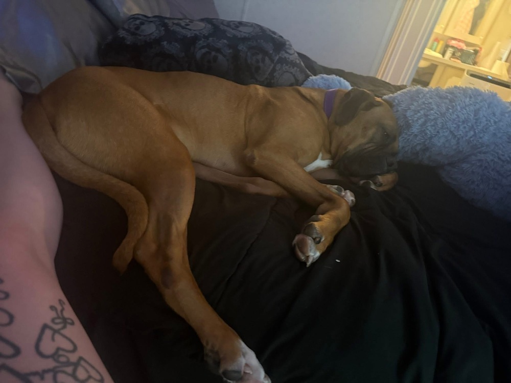 Milo