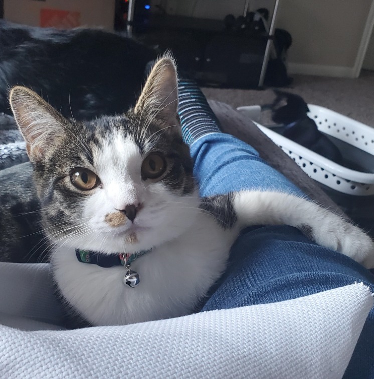 Leroy