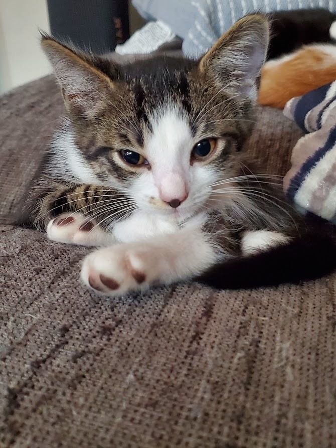 Leroy
