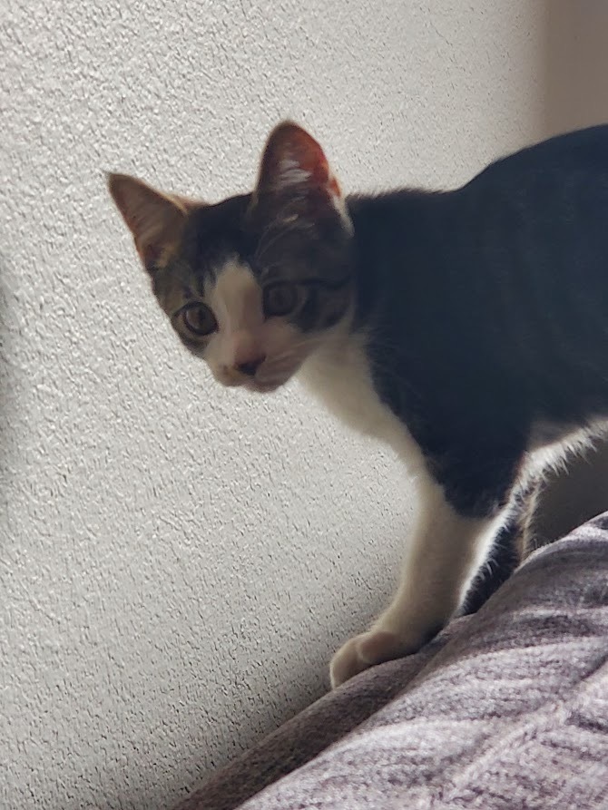 Leroy