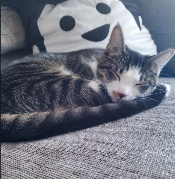 Leroy