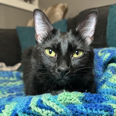 Penny