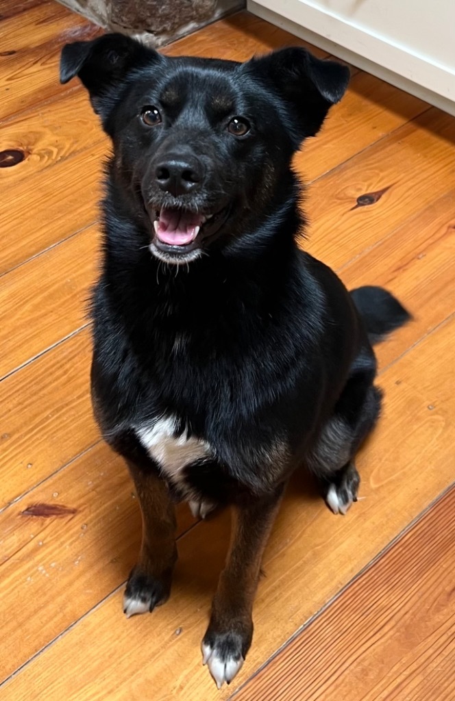 Mali