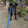 JAKE photo 3