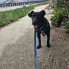 JAKE photo 4
