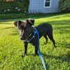 JAKE photo 5