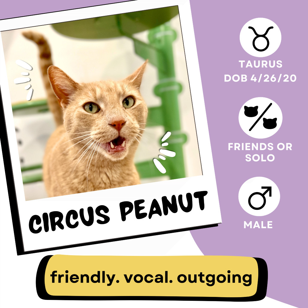 Circus Peanut FKA Mufasa