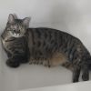 Daphne photo 2