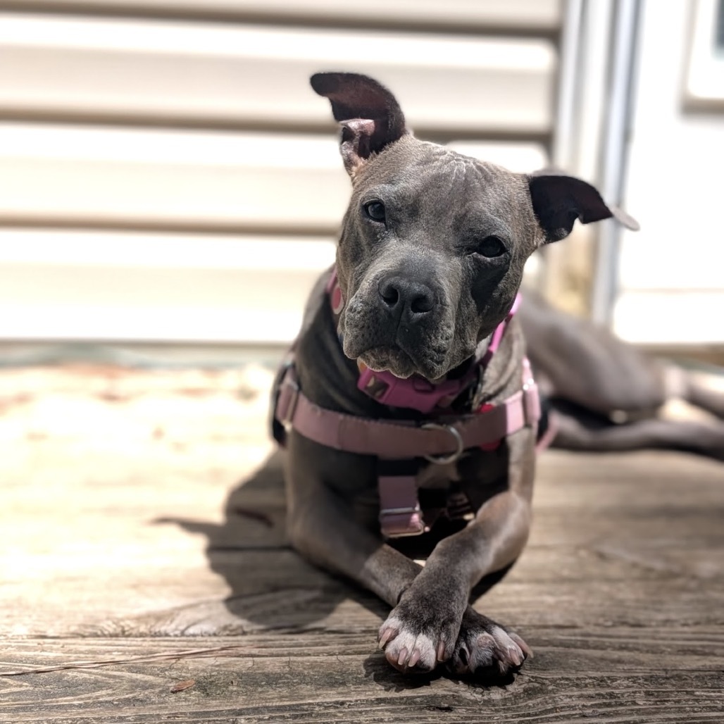Pearl
