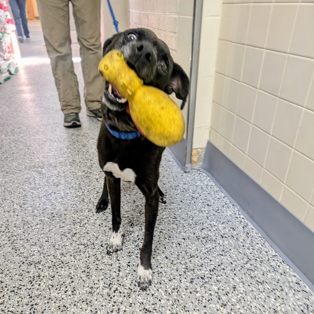 Vero (aka Riley)