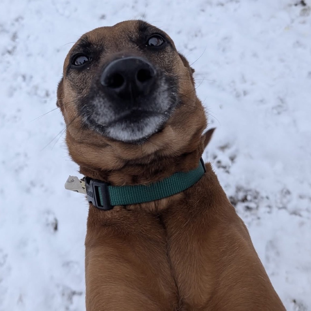 Bailey