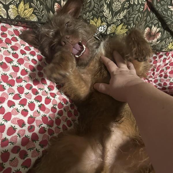 Huxley
