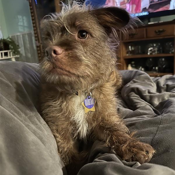 Huxley