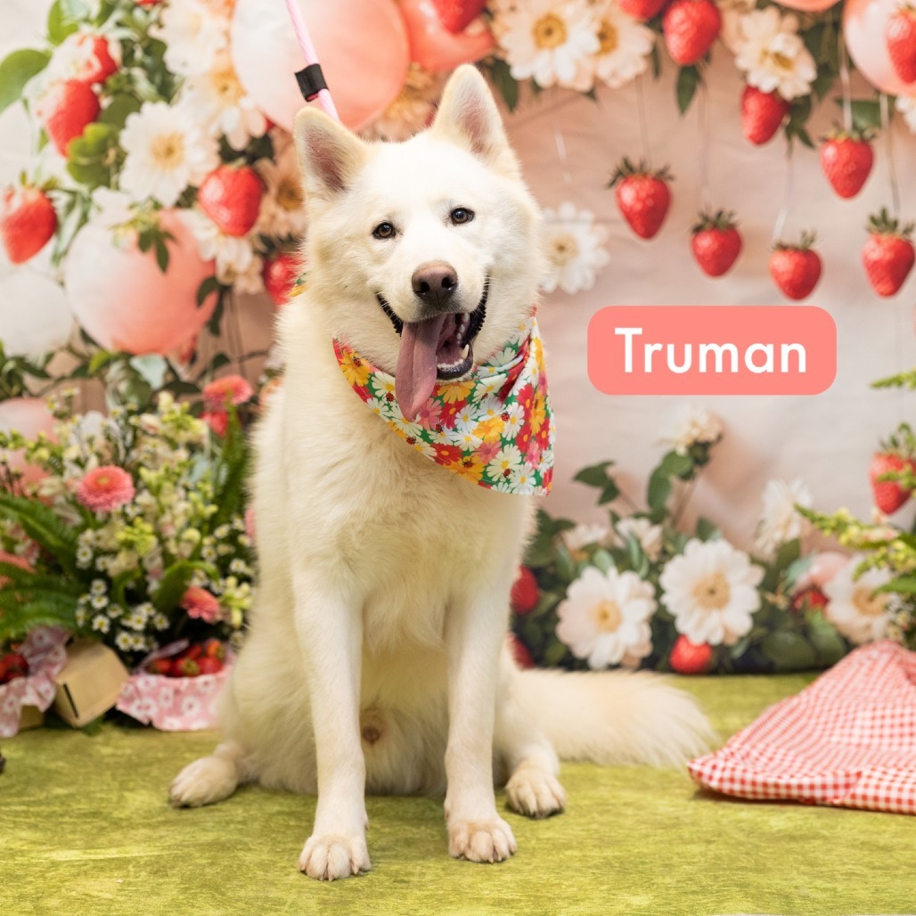 Truman