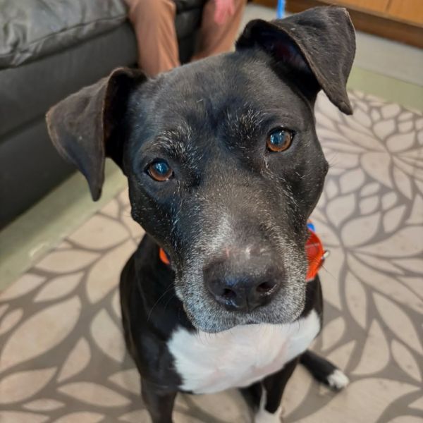 Winnifred thumbnail 2